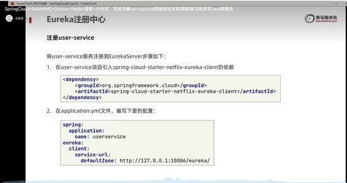 Java微服务与Spring Cloud Eureka 互联网域名注册服务的实践与探索