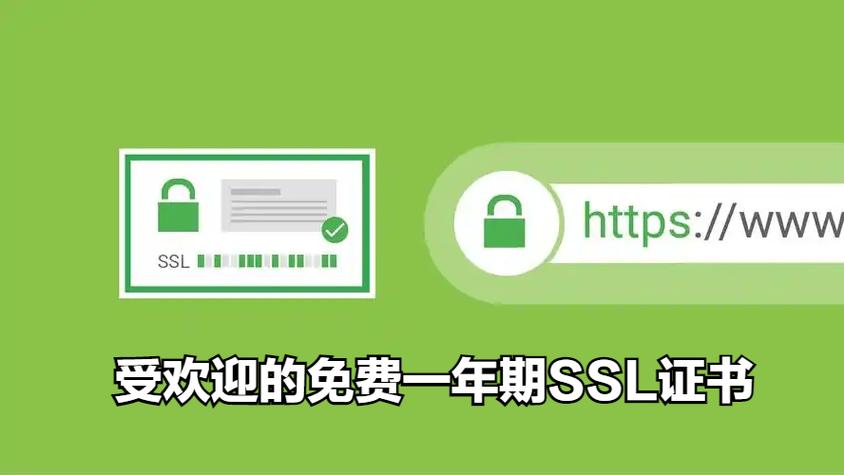 2024年最受欢迎的免费一年期ssl证书-附获取方法